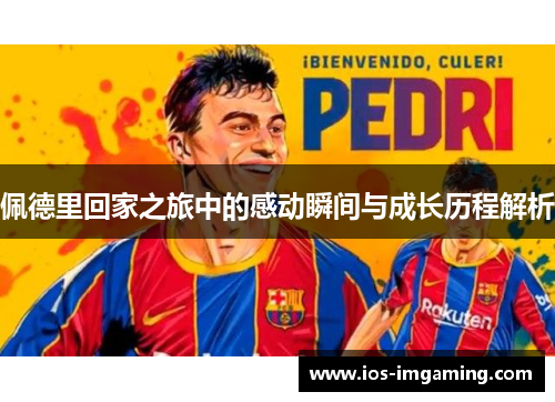 佩德里回家之旅中的感动瞬间与成长历程解析